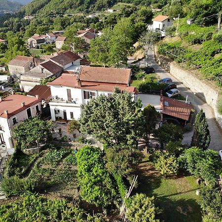 Agriturismo Mare E Monti Трамонти Екстериор снимка