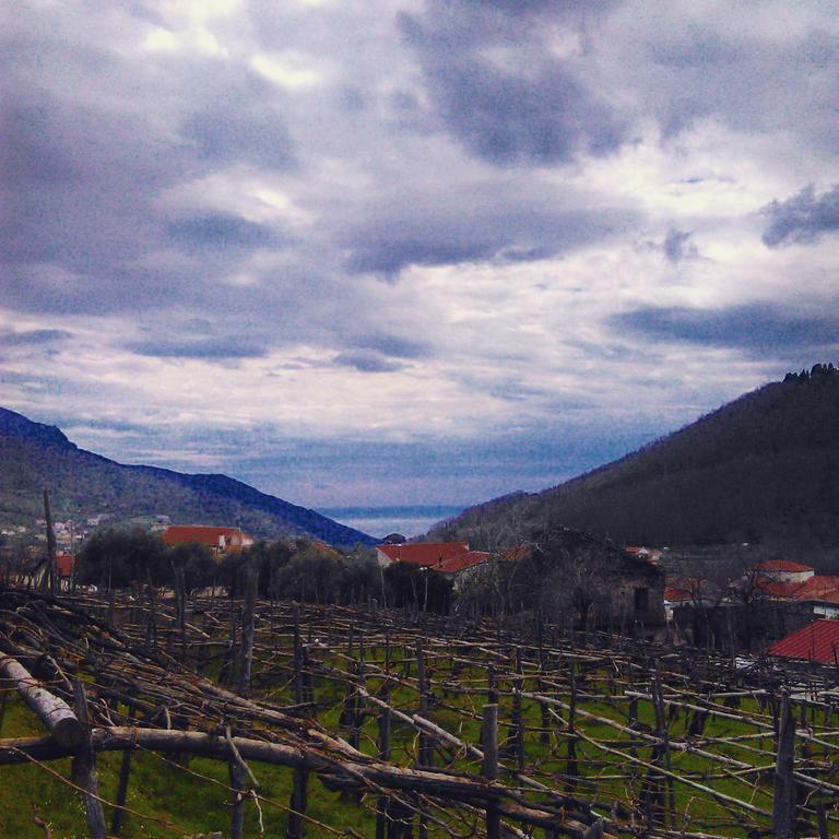 Agriturismo Mare E Monti Трамонти Екстериор снимка