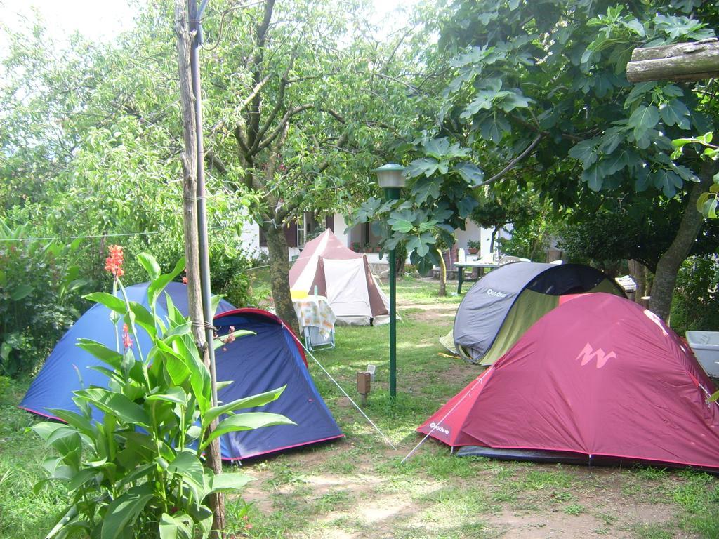Agriturismo Mare E Monti Трамонти Екстериор снимка