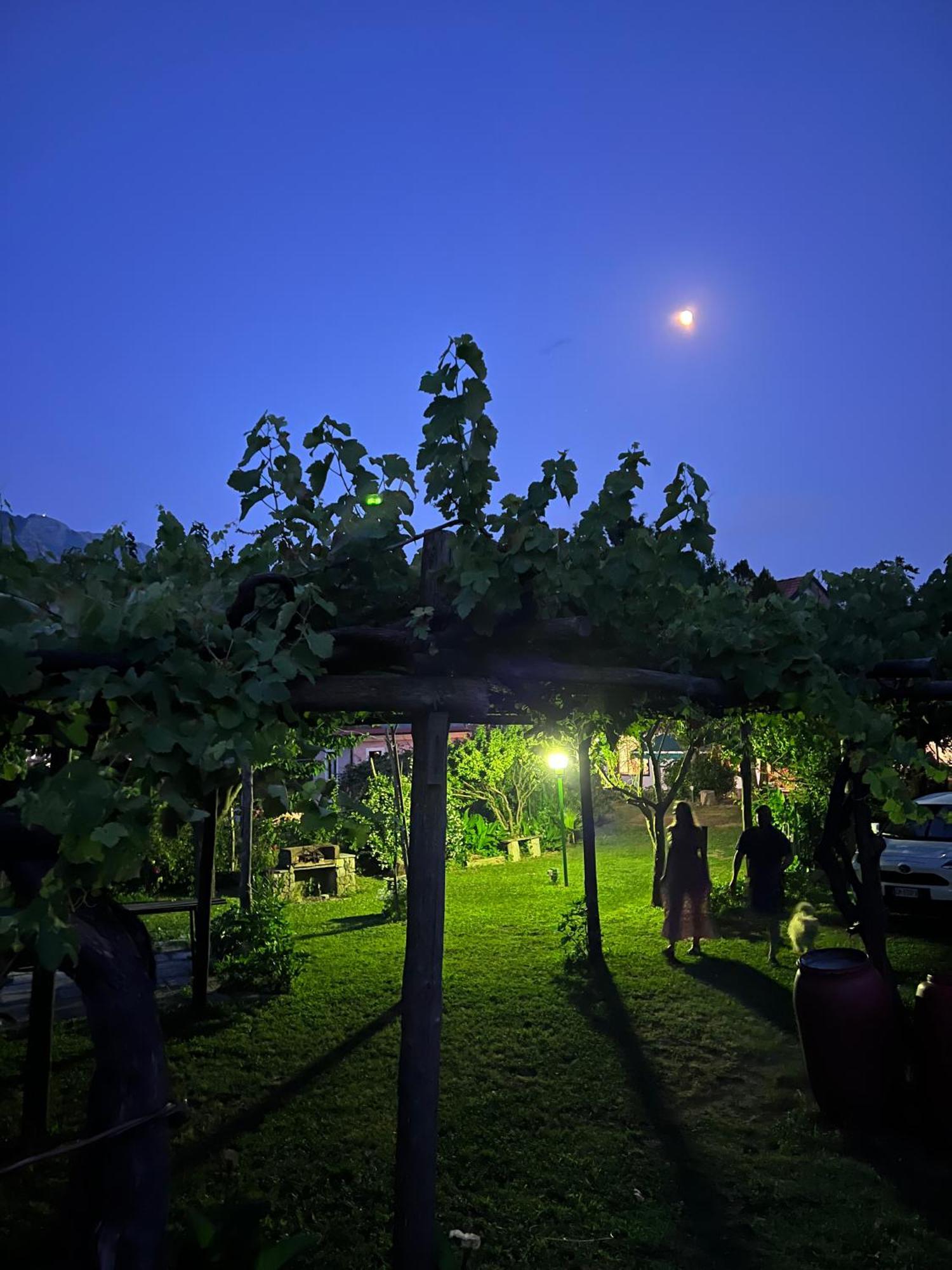 Agriturismo Mare E Monti Трамонти Екстериор снимка
