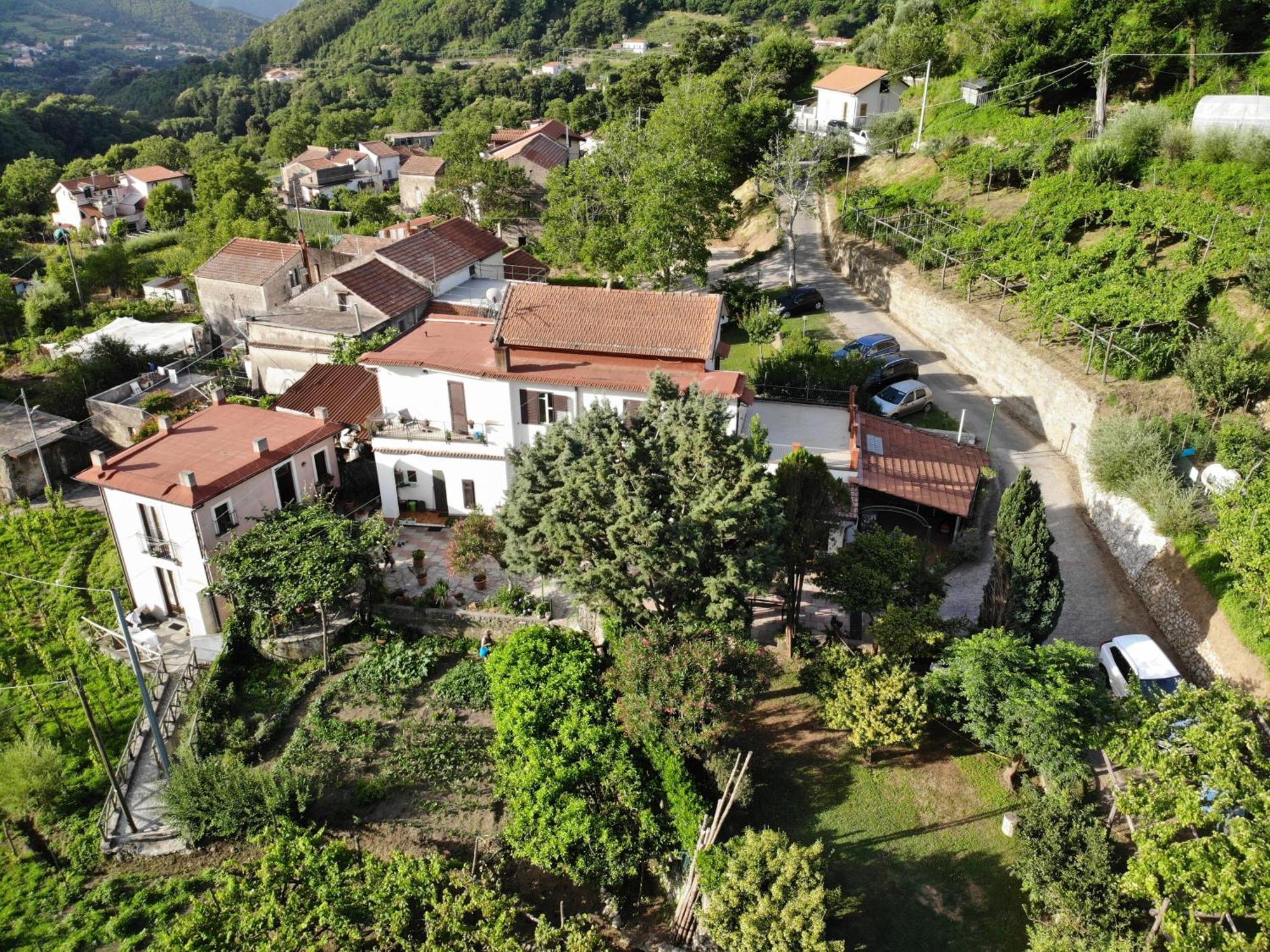 Agriturismo Mare E Monti Трамонти Екстериор снимка