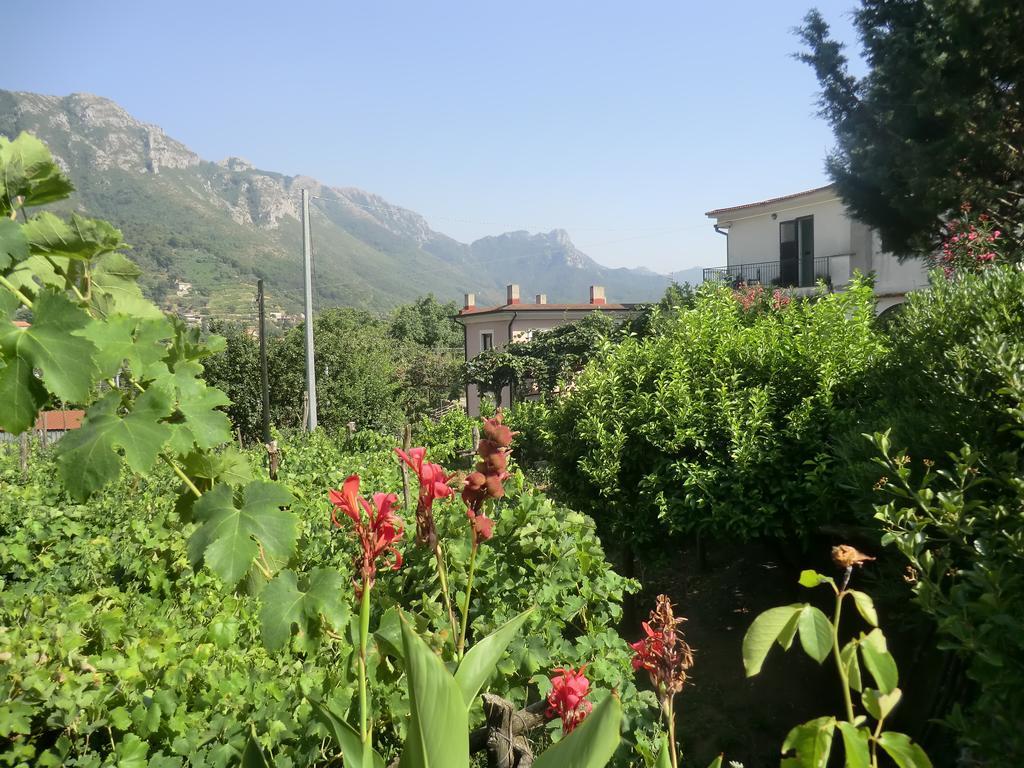 Agriturismo Mare E Monti Трамонти Екстериор снимка