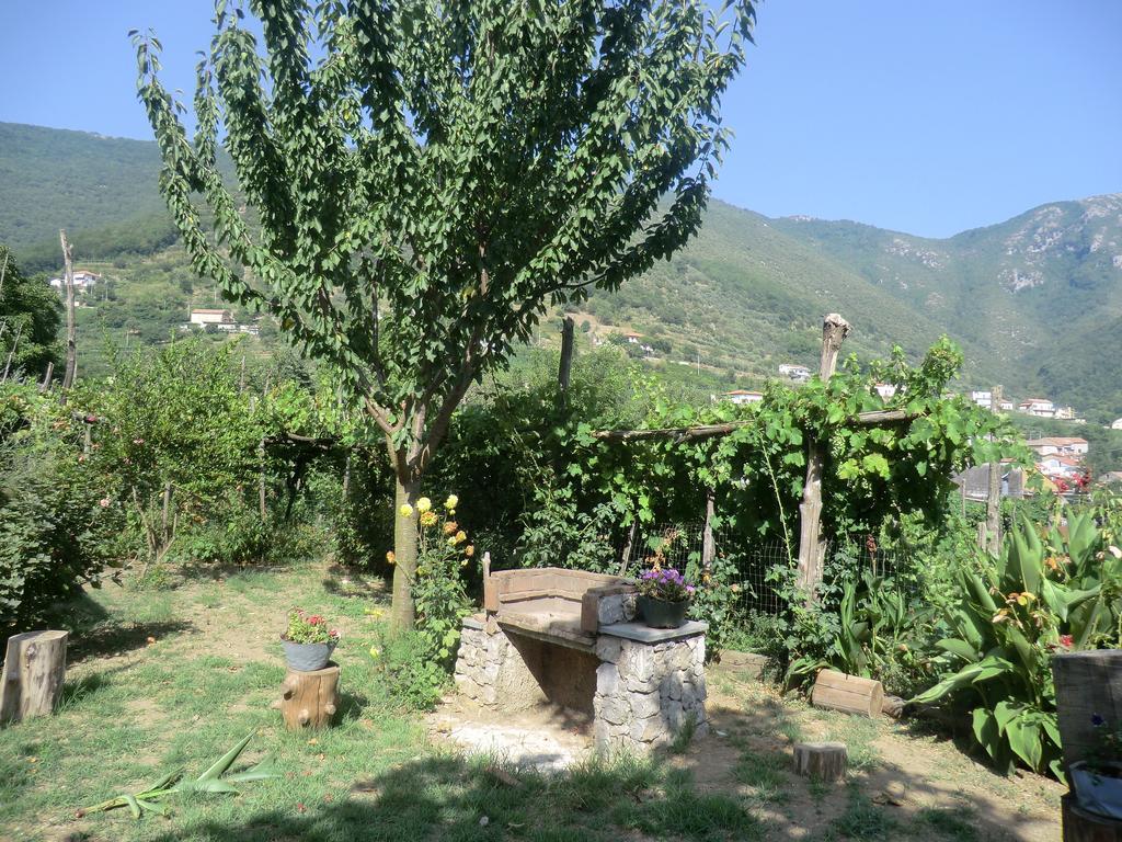 Agriturismo Mare E Monti Трамонти Екстериор снимка