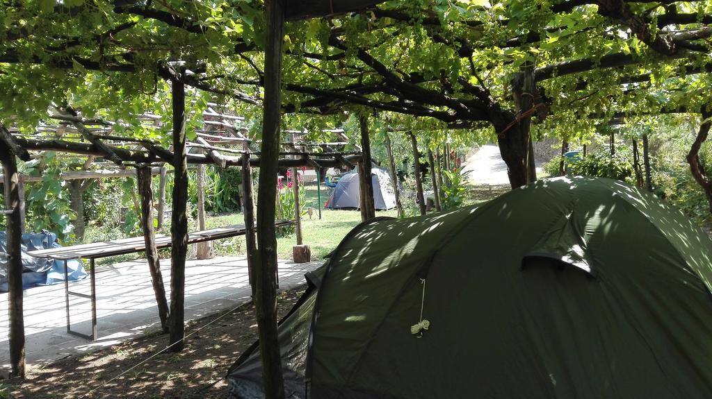 Agriturismo Mare E Monti Трамонти Екстериор снимка