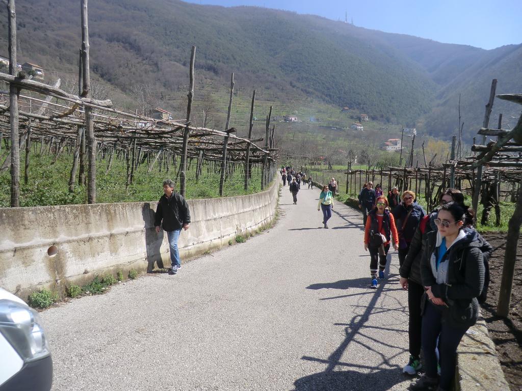 Agriturismo Mare E Monti Трамонти Екстериор снимка