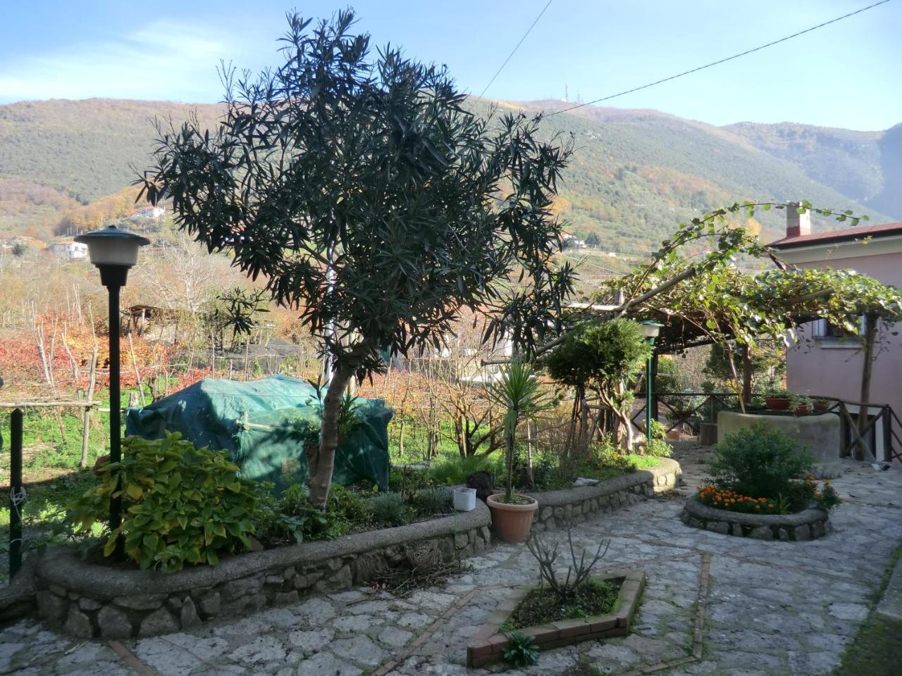 Agriturismo Mare E Monti Трамонти Екстериор снимка